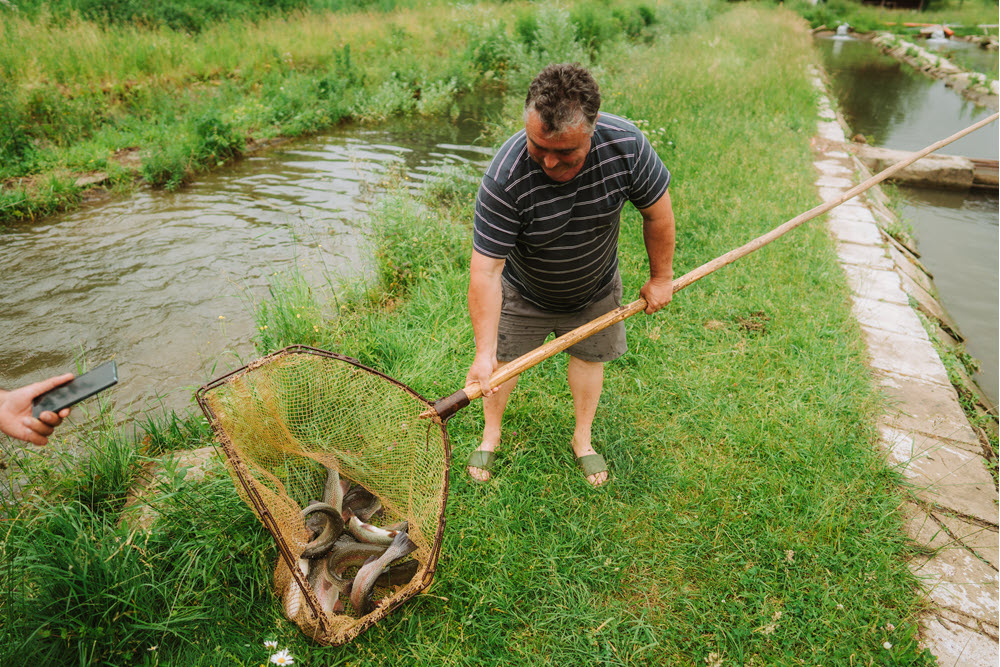 Preparate din păstrăv proaspăt la Casa Ott